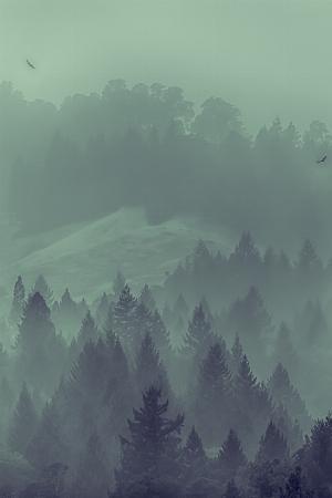 51 - Ba4GWnQ.jpg Android HD Nature Wallpapers